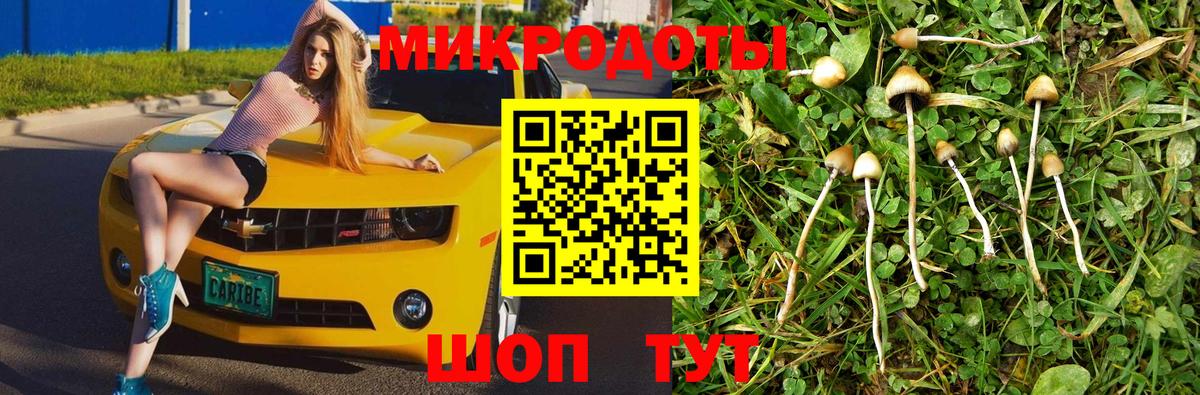 Псилоцибиновые грибы MAGIC MUSHROOMS Унеча