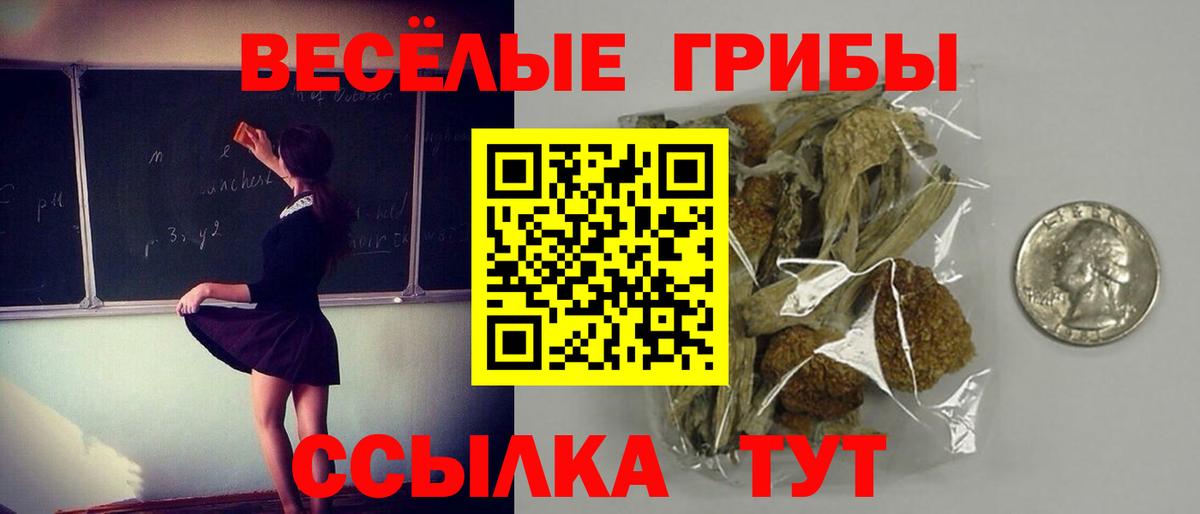 Галлюциногенные грибы GOLDEN TEACHER  Вход с VPN  Псилоцибиновые грибы прущие грибы  Унеча 